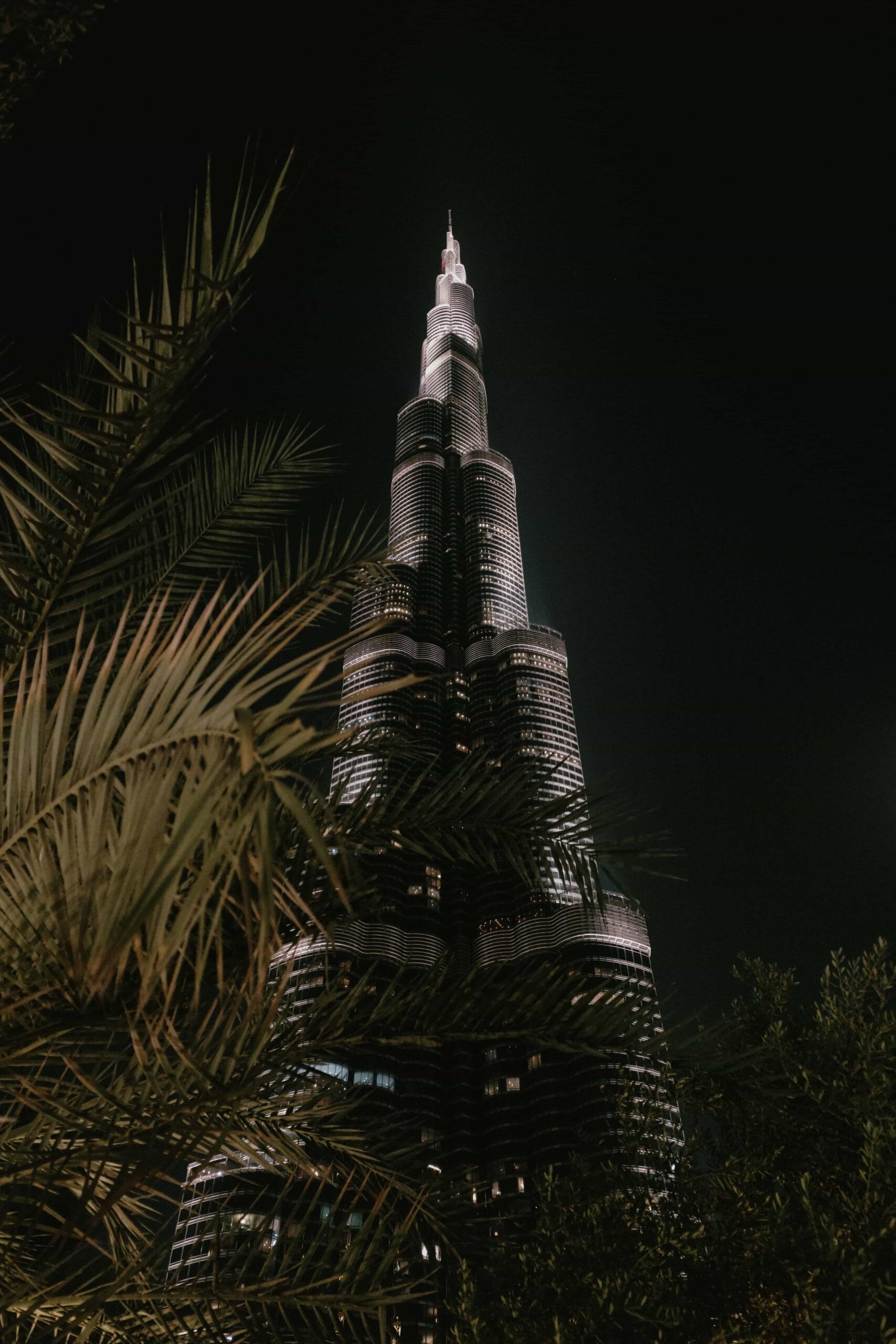 فريق يحلل بنية البحث والظهور في أنظمة الذكاء الاصطناعي